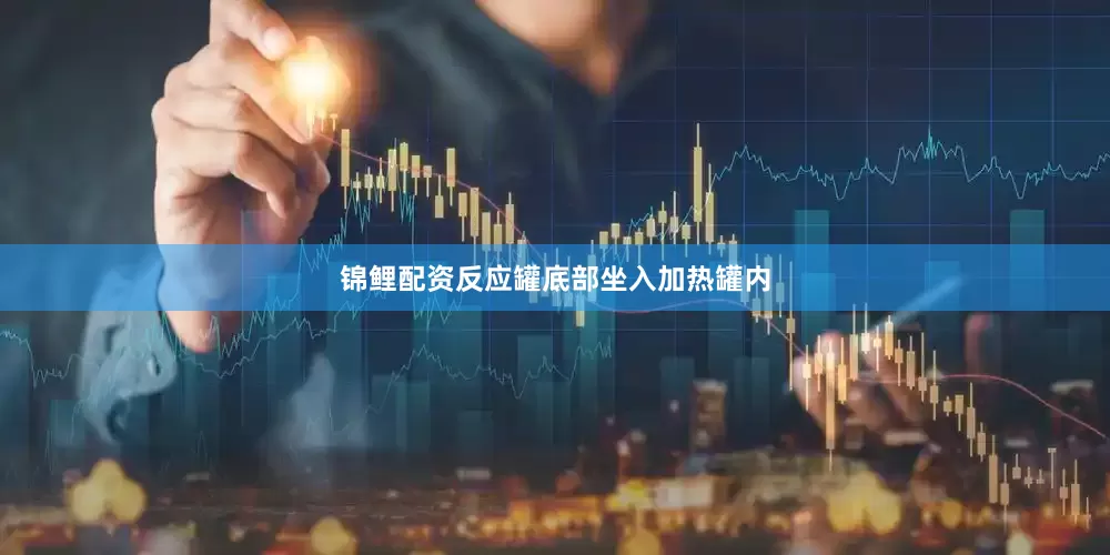 锦鲤配资反应罐底部坐入加热罐内