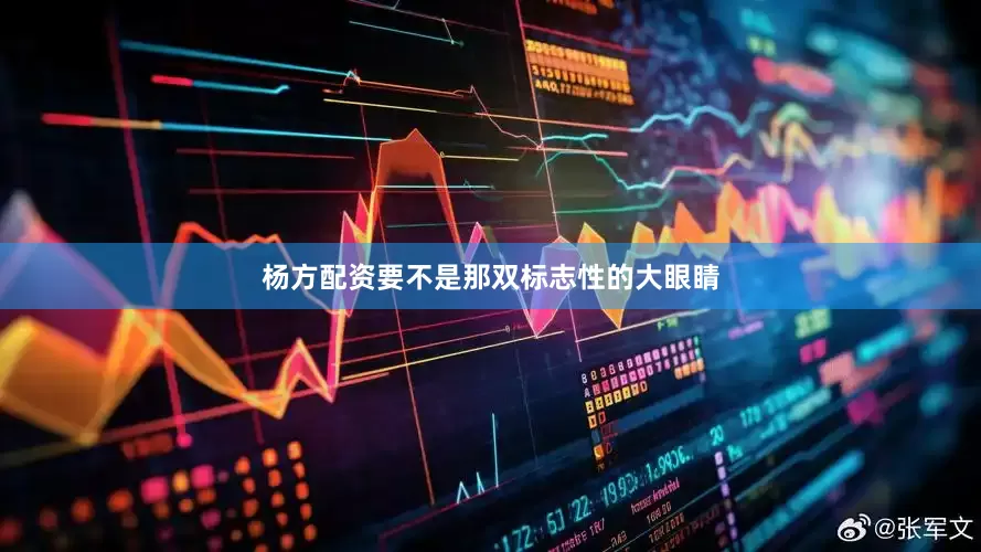 杨方配资要不是那双标志性的大眼睛
