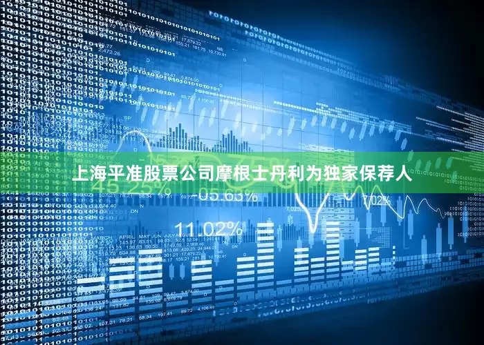 上海平准股票公司摩根士丹利为独家保荐人