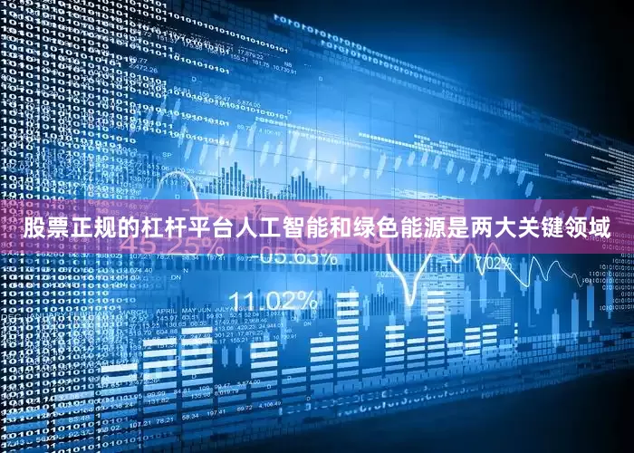 股票正规的杠杆平台人工智能和绿色能源是两大关键领域