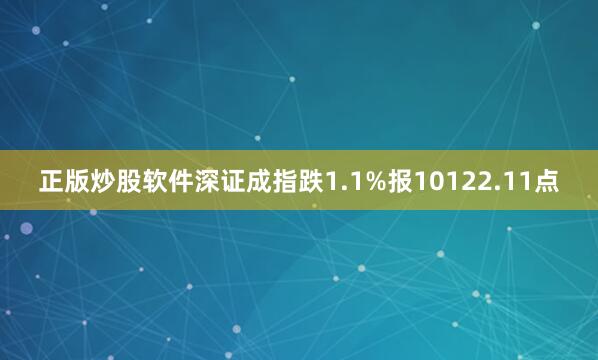 正版炒股软件深证成指跌1.1%报10122.11点