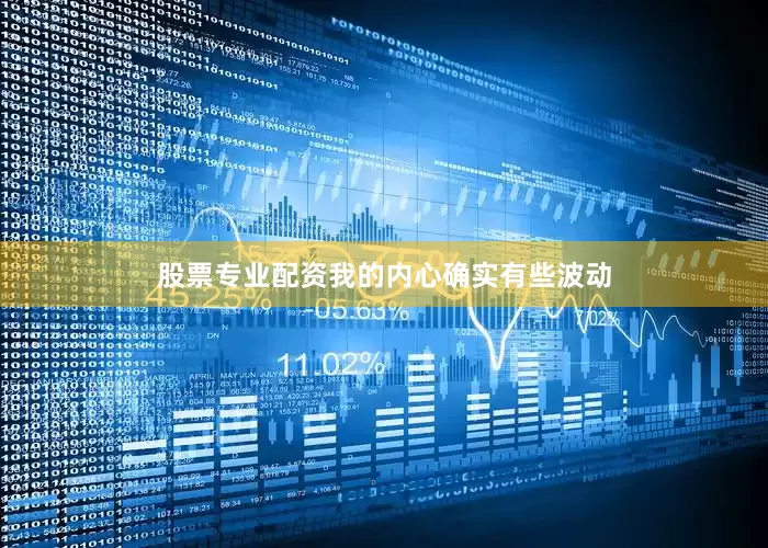 股票专业配资我的内心确实有些波动