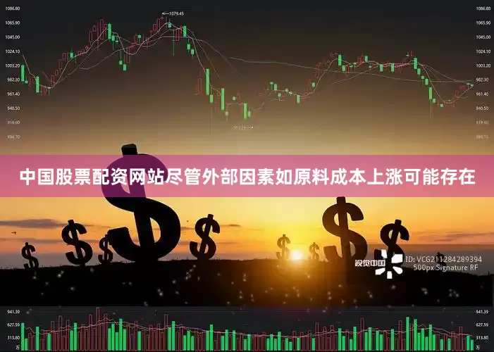 中国股票配资网站尽管外部因素如原料成本上涨可能存在