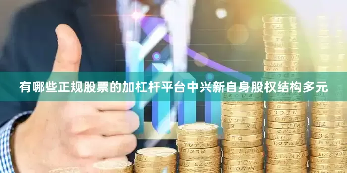 有哪些正规股票的加杠杆平台中兴新自身股权结构多元