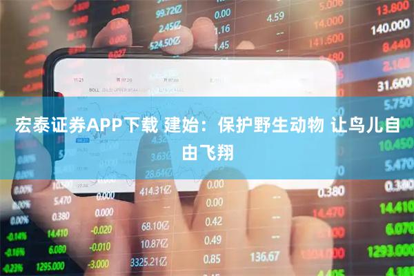 宏泰证券APP下载 建始：保护野生动物 让鸟儿自由飞翔